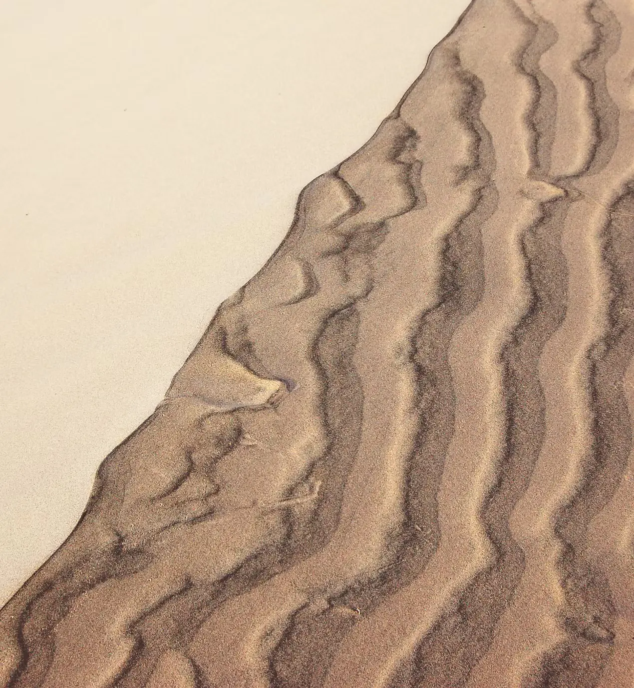 Portrait von Nico Richter